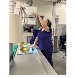 Radiography demonstration showing how to line up machine with body