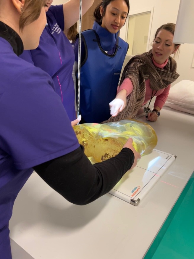 Radiography students setting up a mannequin for scanning